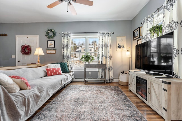 living room featuring ceiling fan and dark wood-type flooring