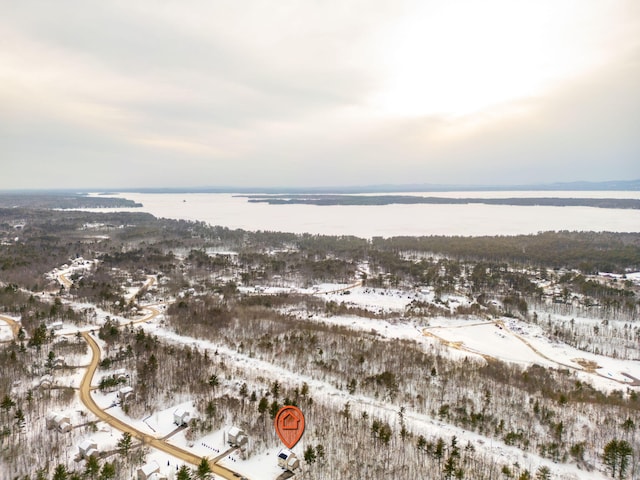 snowy aerial view with a water view