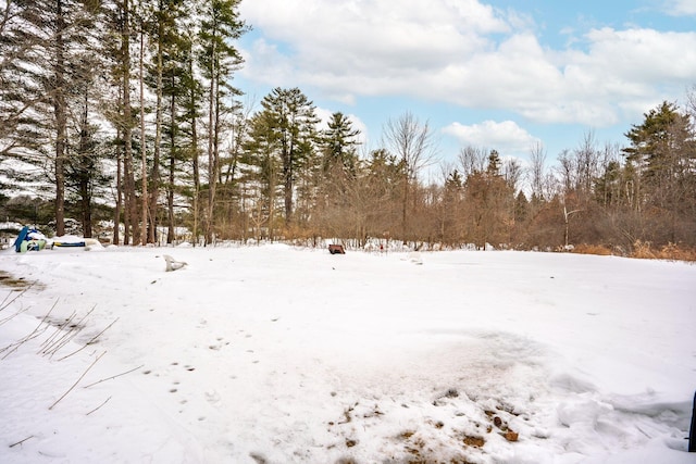 view of yard covered in snow