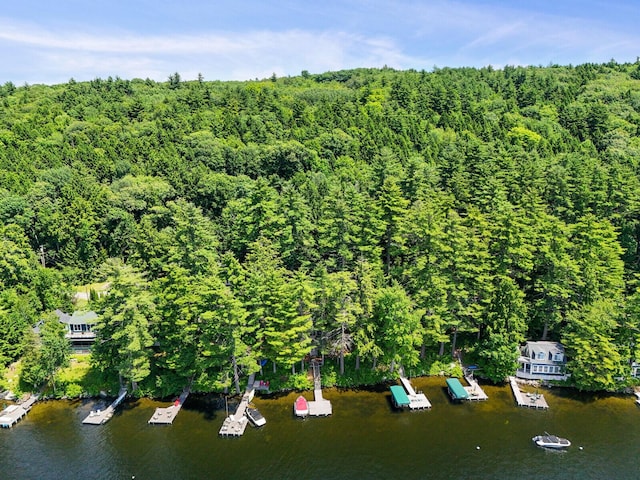 bird's eye view with a water view and a view of trees