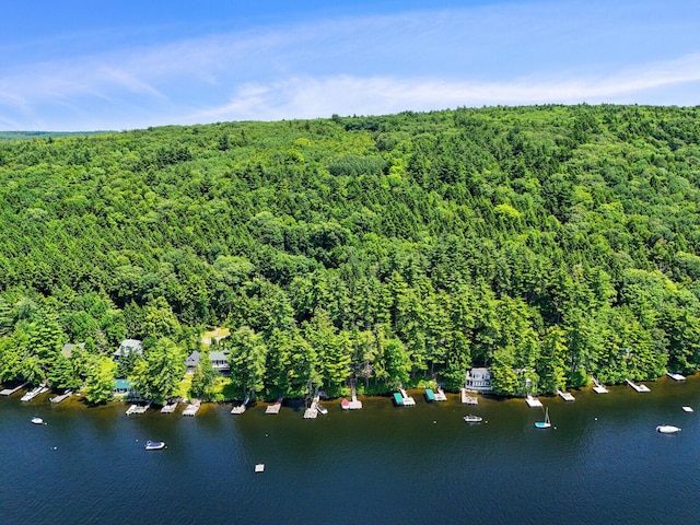 aerial view featuring a water view and a wooded view