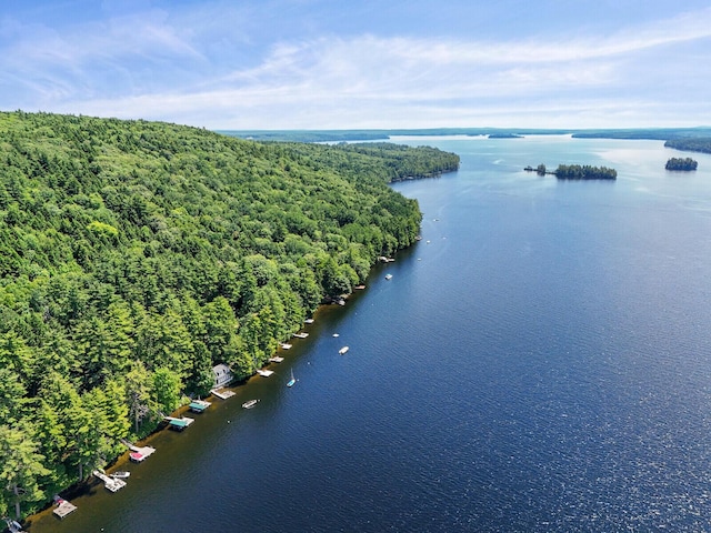 drone / aerial view featuring a water view and a wooded view