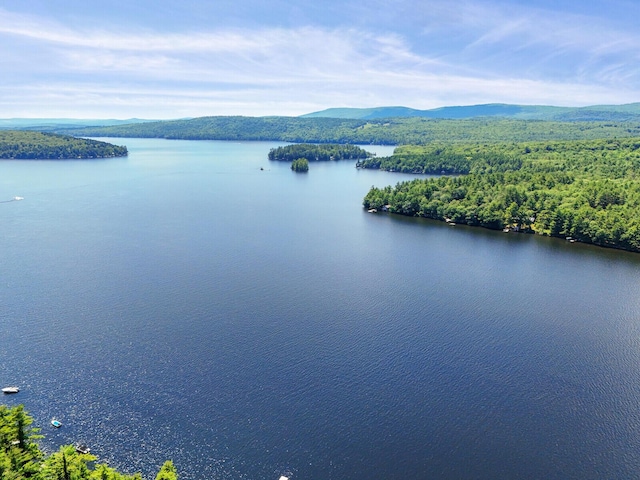 water view with a mountain view and a wooded view