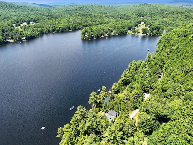 birds eye view of property with a water view and a wooded view