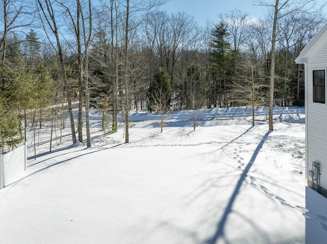 view of yard covered in snow