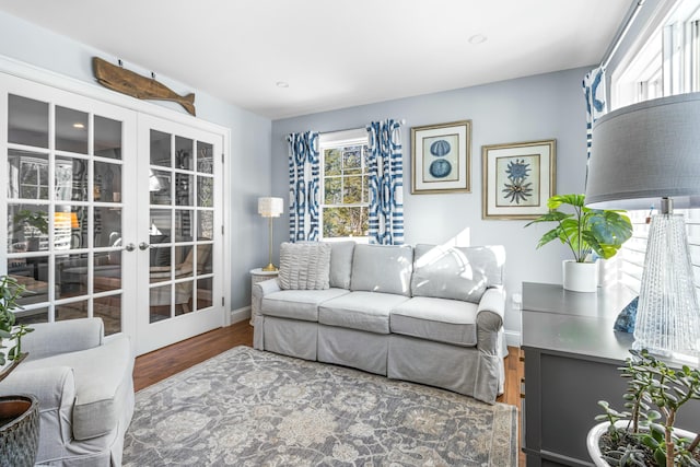 living area featuring french doors, wood finished floors, a wealth of natural light, and baseboards