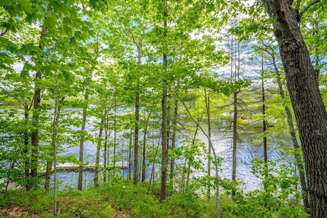 271 Red Gate Ln, Acton, ME 04001 - water view