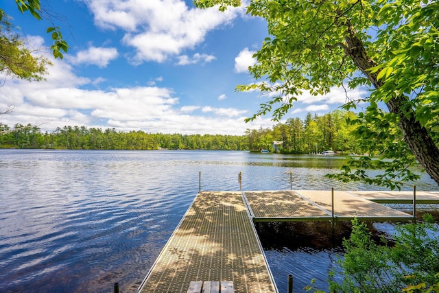 271 Red Gate Ln, Acton, ME 04001 - dock with a water view and a view of trees