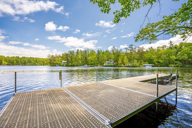 271 Red Gate Ln, Acton, ME 04001 - dock with a water view and a view of trees