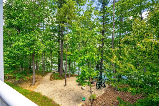 271 Red Gate Ln, Acton, ME 04001 - view of yard