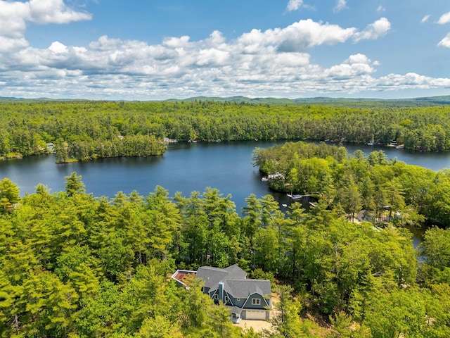 271 Red Gate Ln, Acton, ME 04001 - aerial view of property and surrounding area with a heavily wooded area and a nearby body of water