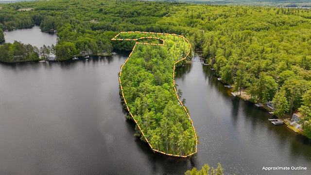 271 Red Gate Ln, Acton, ME 04001 - view of property location with a large body of water and property boundaries highlighted