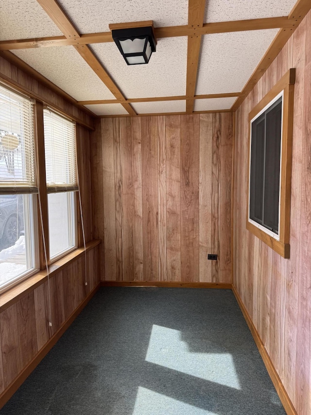 143 Main St, Sangerville, ME 04479 - unfurnished room with wood walls, coffered ceiling, carpet floors, and baseboards