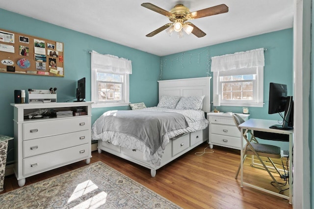 bedroom featuring ceiling fan, multiple windows, and wood finished floors