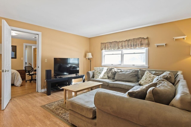 living room featuring light wood-style flooring