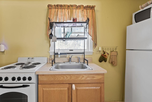 kitchen with white appliances, light countertops, and a sink