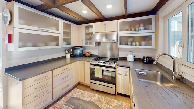 kitchen with under cabinet range hood, tasteful backsplash, a sink, and gas stove