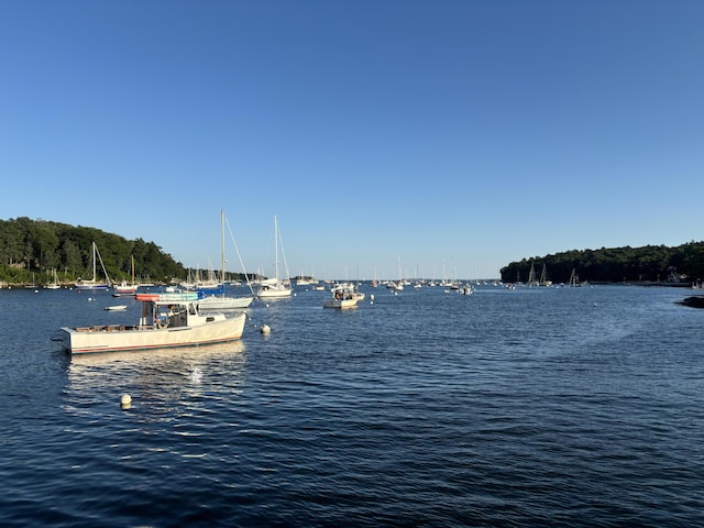 exterior space featuring a boat dock