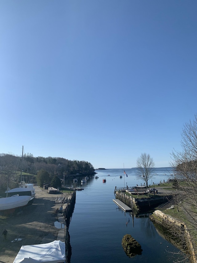 water view featuring a boat dock