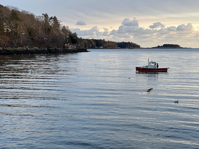 property view of water featuring a dock