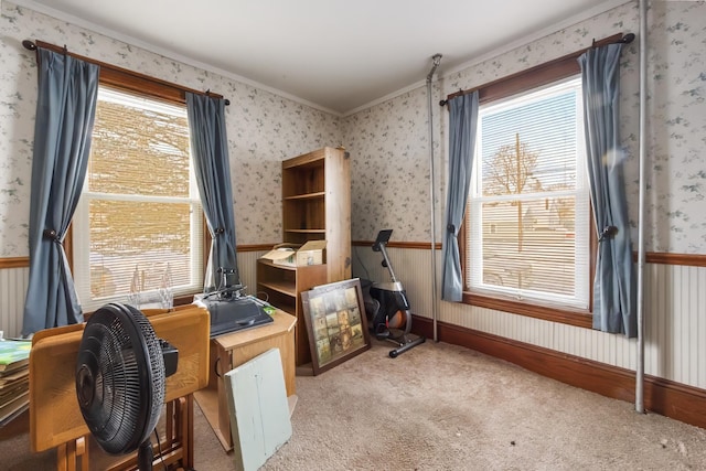 carpeted home office featuring a healthy amount of sunlight, wainscoting, and wallpapered walls