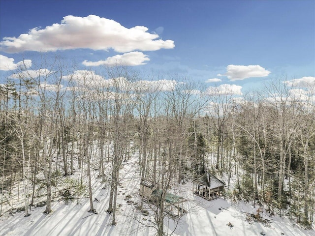 view of mountain feature featuring a view of trees