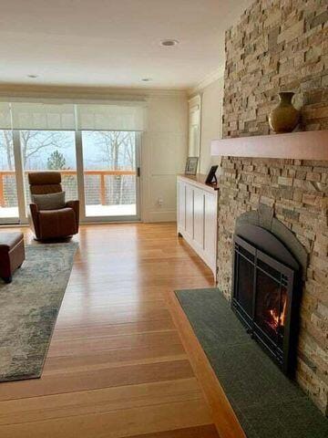 interior space with light wood-style flooring, a fireplace, and a wealth of natural light