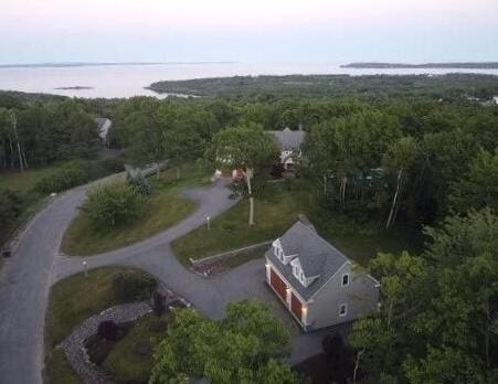 drone / aerial view featuring a water view and a forest view