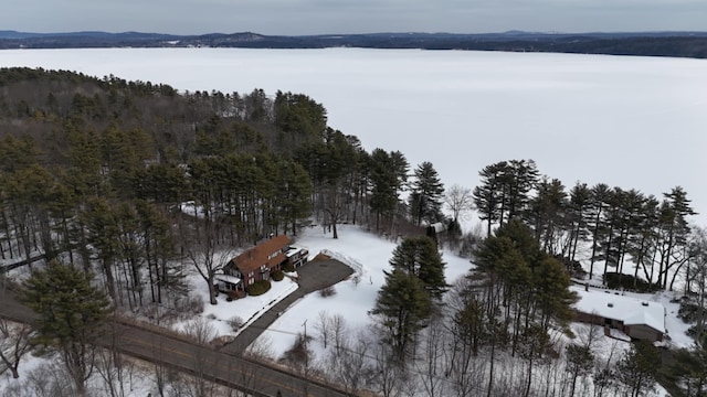 bird's eye view featuring a water view and a forest view