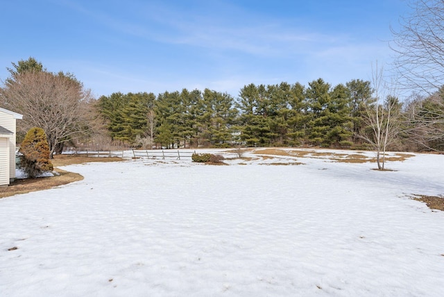 view of snowy yard