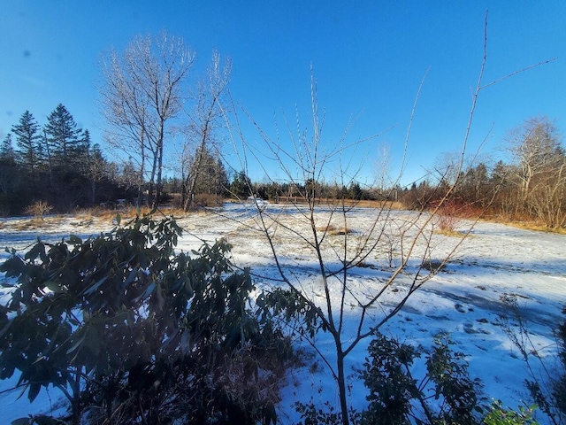 view of yard covered in snow