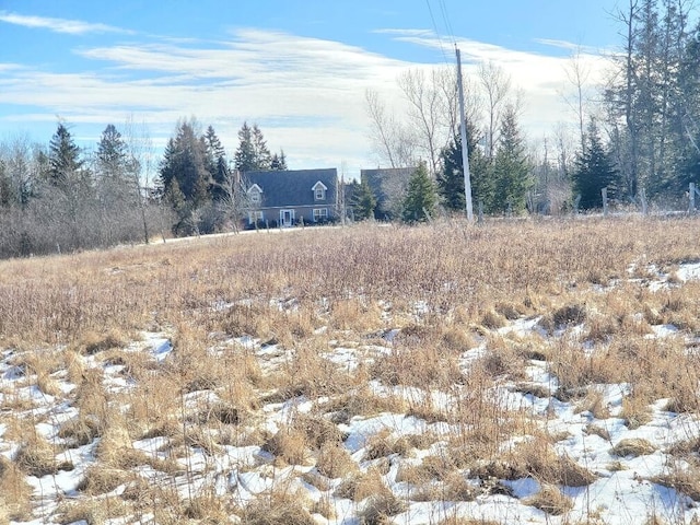 view of snowy landscape