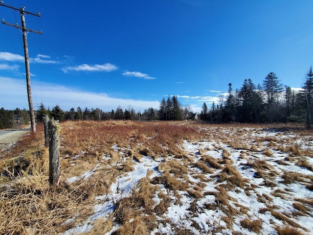 view of snowy landscape