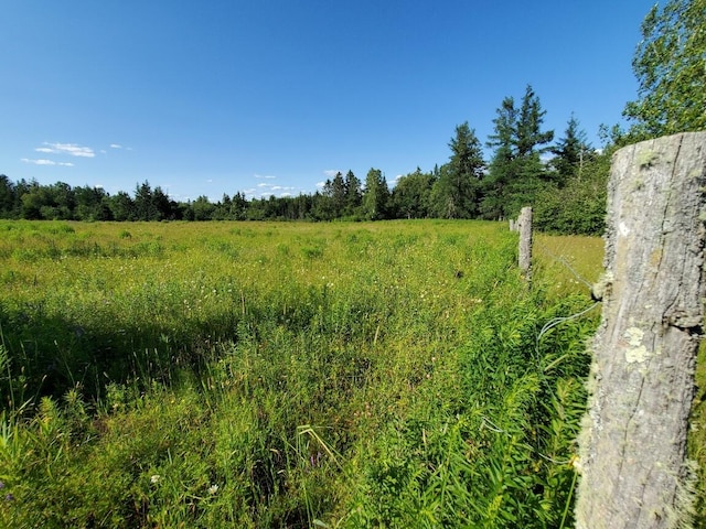 view of nature with a rural view