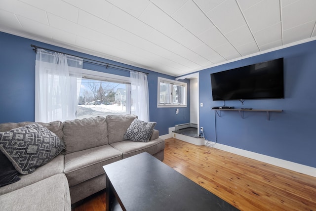 living room with a baseboard radiator, wood-type flooring, baseboards, and ornamental molding