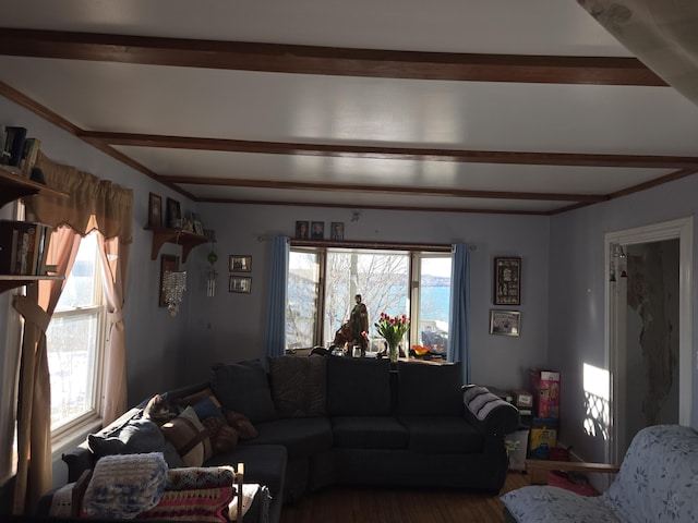 living room with beam ceiling, wood finished floors, and a wealth of natural light