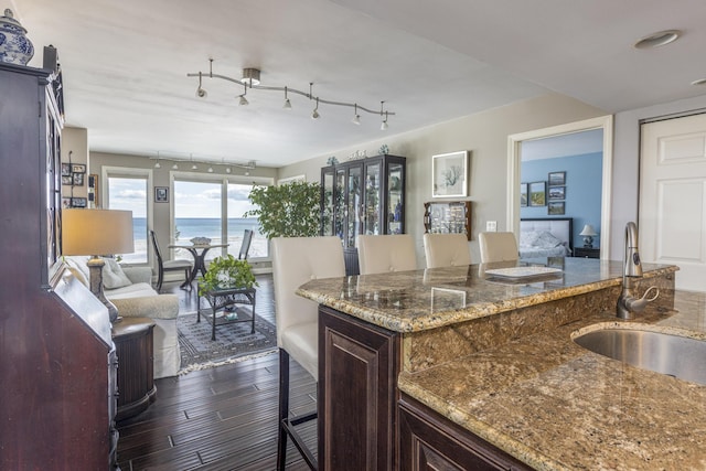 kitchen with dark wood-style floors, stone countertops, open floor plan, a sink, and dark brown cabinetry