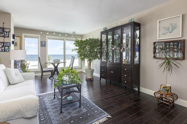 living area featuring baseboards and wood finished floors