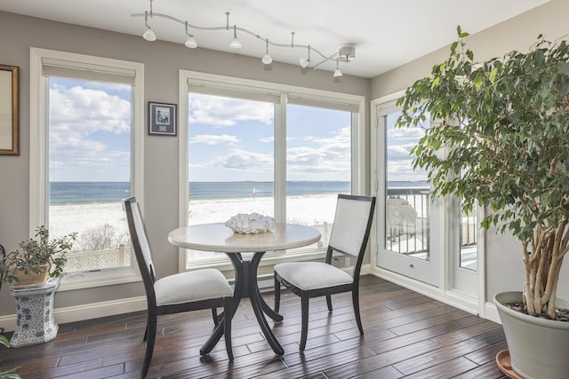 dining area featuring dark wood-style flooring and plenty of natural light