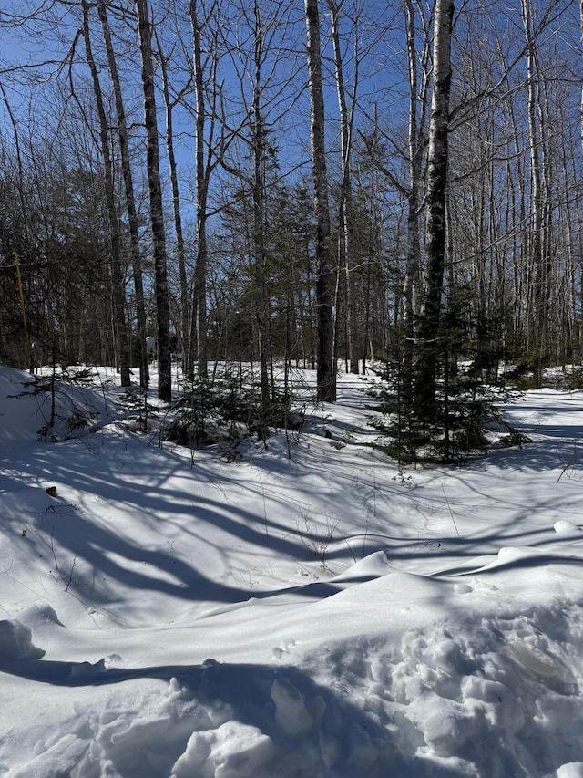 LOT4 Robbins Point Rd, Gouldsboro ME, 04607 land for sale