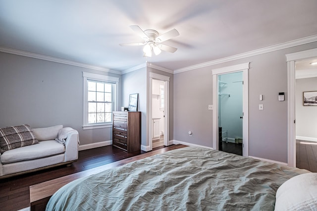 bedroom with a walk in closet, dark wood-type flooring, ornamental molding, a ceiling fan, and baseboards