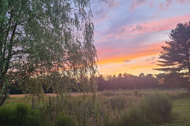 view of nature at dusk