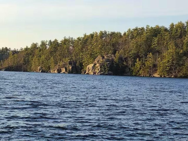 property view of water with a forest view