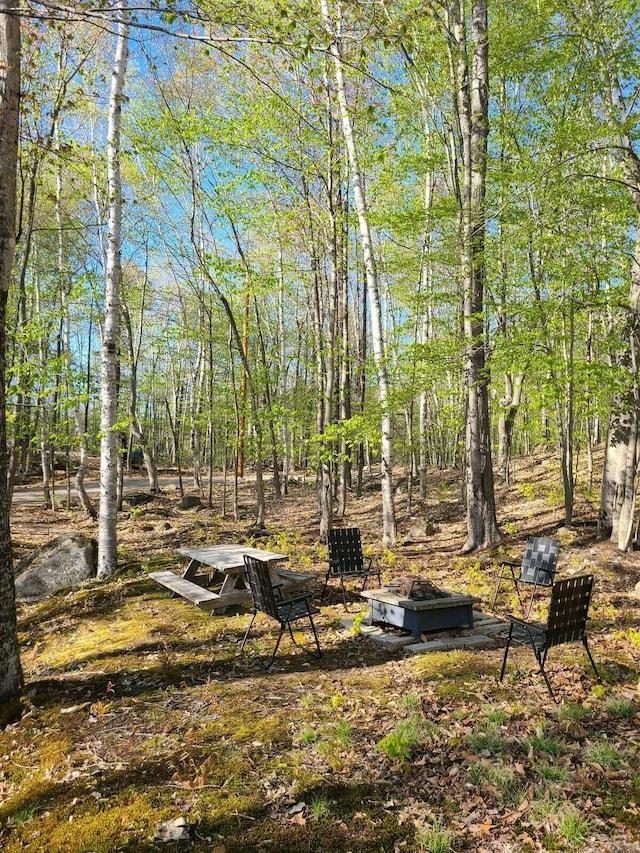 view of yard featuring an outdoor fire pit