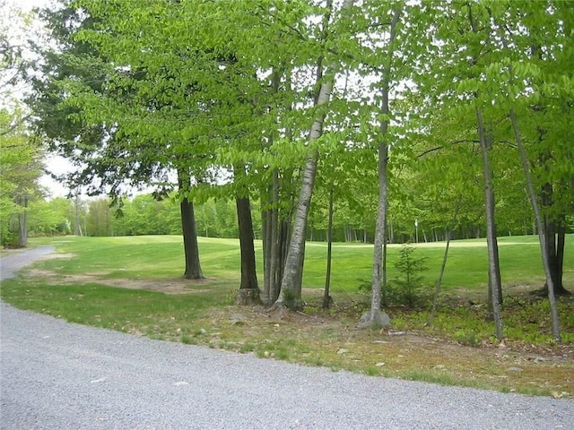 surrounding community featuring a lawn