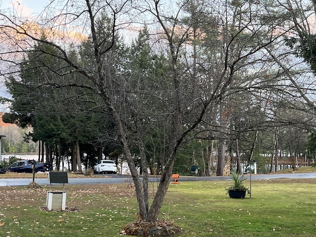 view of community with a lawn