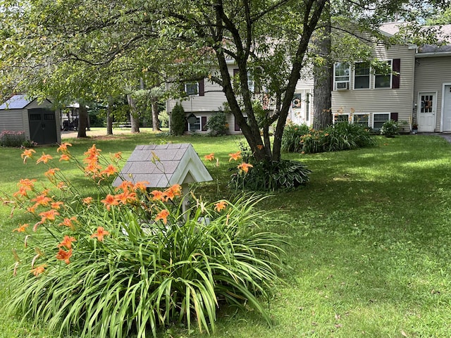 view of yard featuring an outbuilding and a storage shed