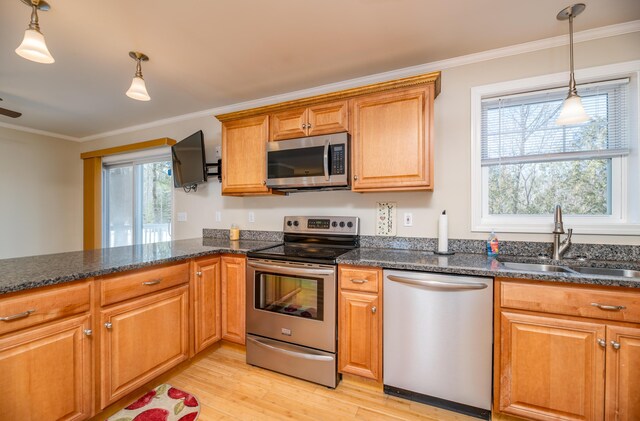 kitchen with light wood-style flooring, ornamental molding, hanging light fixtures, a sink, and appliances with stainless steel finishes