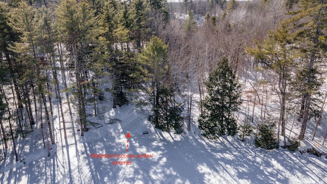 bird's eye view featuring a view of trees