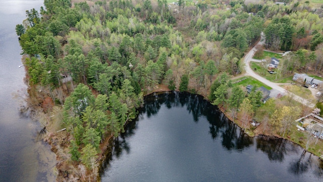 72 Annabessacook Dr, Winthrop, ME 04364 - aerial view of property's location featuring a large body of water